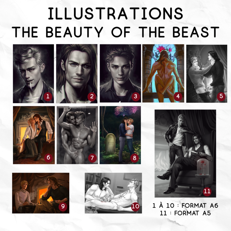 Illustrations "The beauty of the Beast"