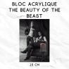 Bloc acrylique The beauty of the beast