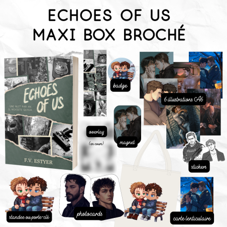Echoes of us - Maxi Box broché
